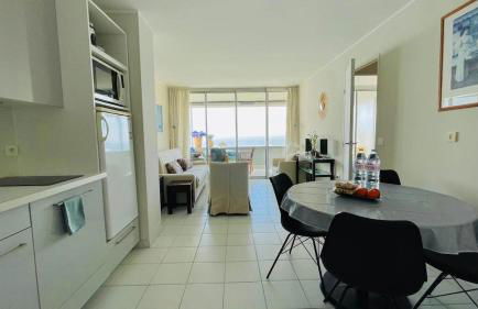 LA RESIDENCE COSTA PLANA, Appt 204, VUE SUR LA MER - Foto 6