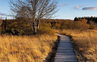 Ferienhaus Am alten Fachwerk - Foto 4