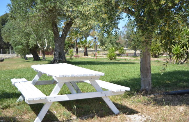 Agriturismo Terra D'Ulivi - Foto 47