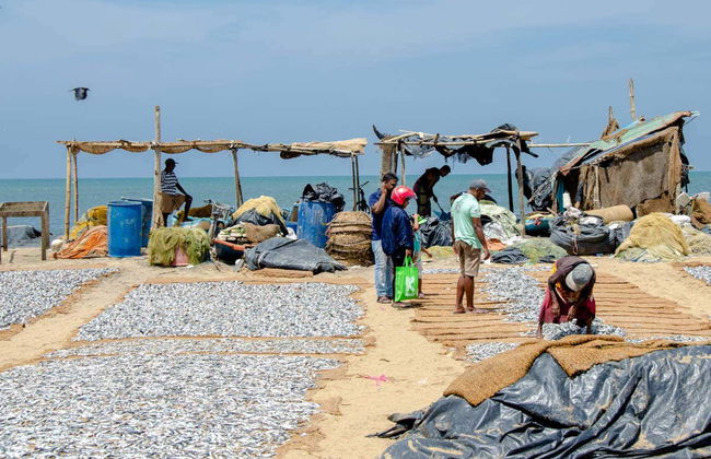 Tour privato di Negombo - Foto 1