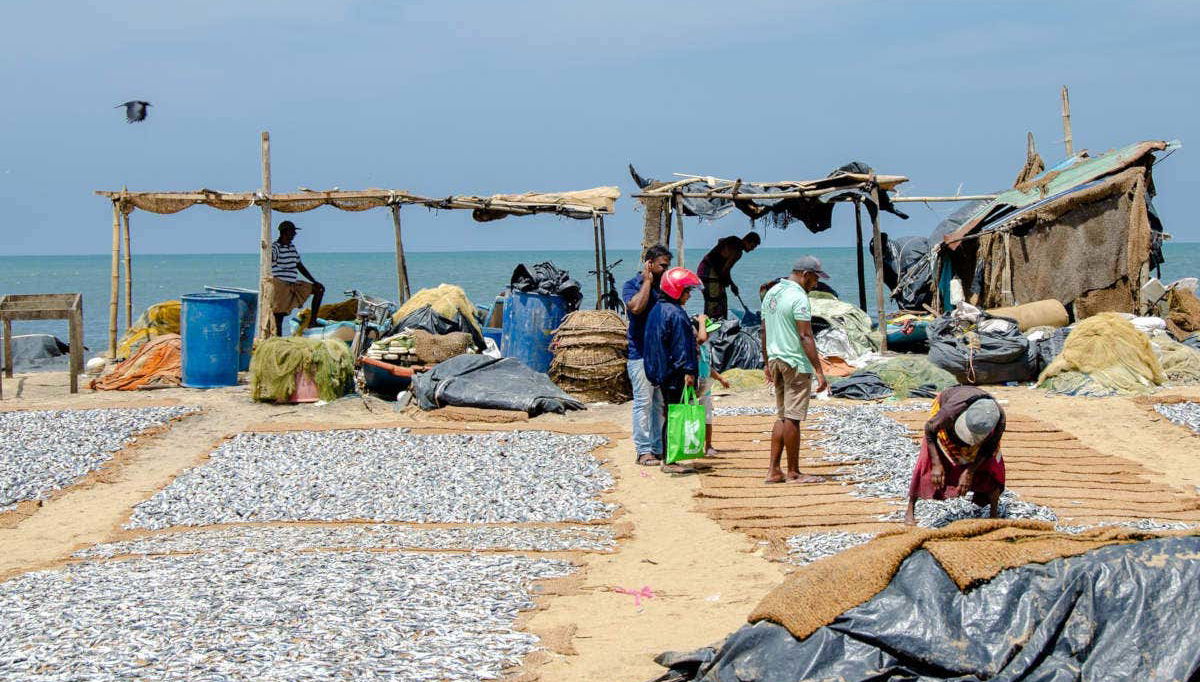 Private Negombo City Tour - Foto 1