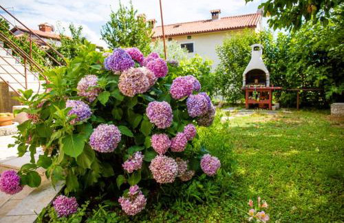 RUSTICO MEDITERRANEO Apartment with large terrace by Villa Mihaela Poreč - Foto 14