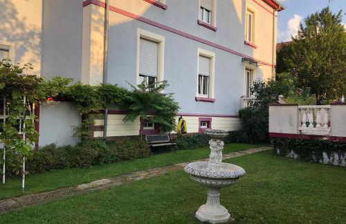 Le charme d'Alsace - Foto 14