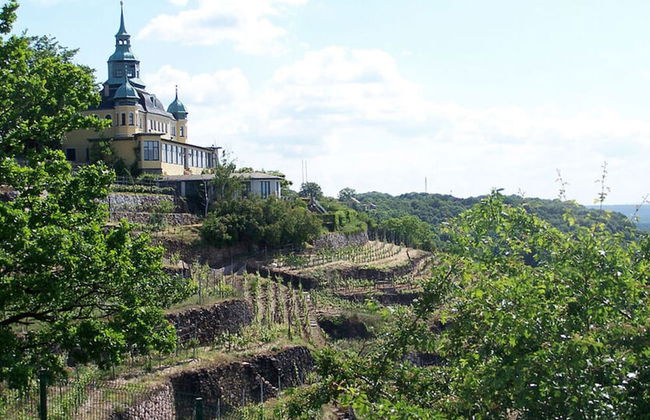 "weinberg Uitzicht" in het Felix Huis - Foto 26