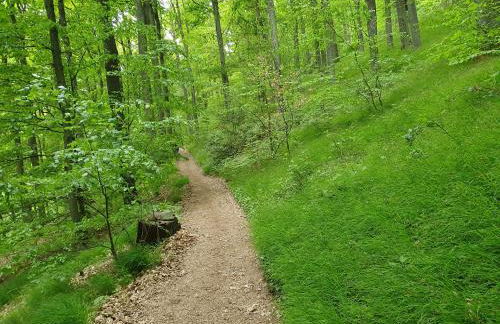 Landhaus Christina - Foto 55