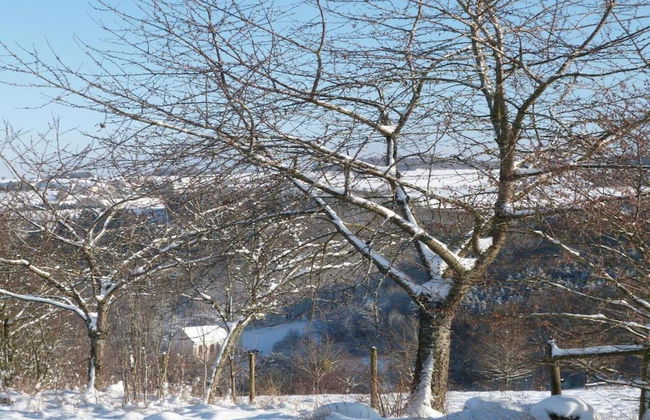 Beautiful Apartment in Morscheid-riedenburg - Photo 21