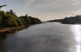 Residencial Acácias Guarajuba - Foto 46