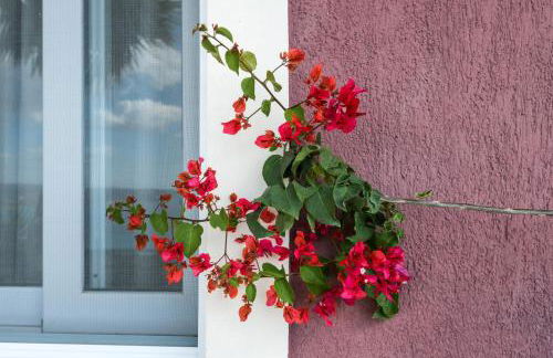 Lorraine's Cottage Style Studios, shared swimming pool and bbq only for guests at Simotata village - Photo 74