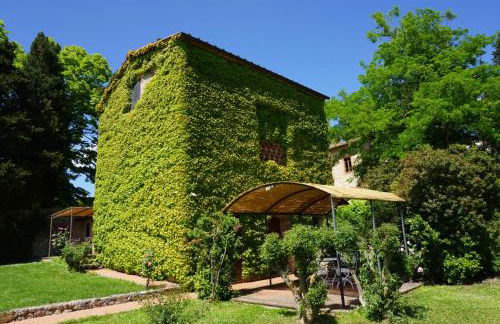 Fattoria Lornano Winery - Foto 116