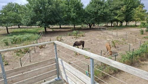 Cottage Rembrandt - Foto 5, Garden view