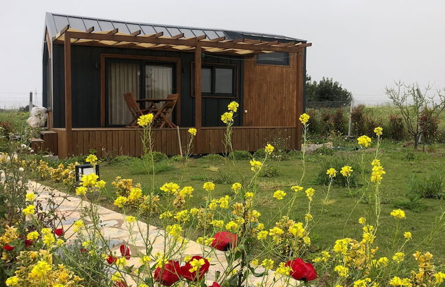 Radika Datca - Photo 18