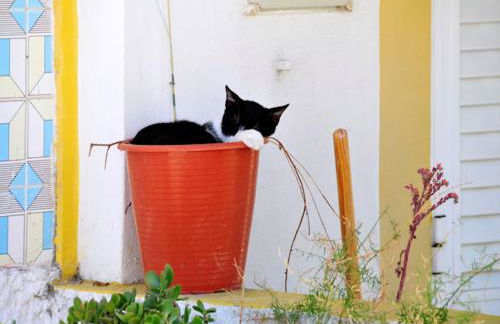 Tasteful Caminha Villa 4 Bedrooms Villa Laginhas Modern Furnishings - Foto 13