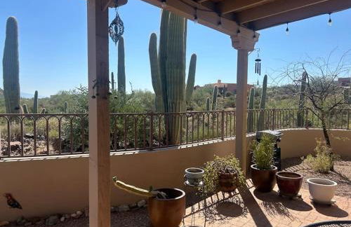 Tucson Mnt Foothills Saguaro Bliss - Foto 28