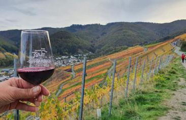 Ahrtal Vier Sterne Ferienwohnungen Alexandra Weiler Ferienwohnung Harmonie - Foto 29