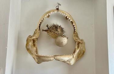 villino Morena - Foto 30