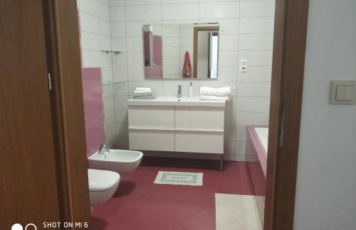 Pluski Dom "Ryś" nad J. Pluszne - Foto 30