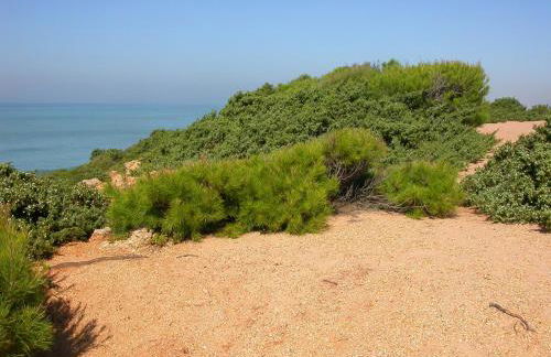 Chalet en Roche - Foto 35