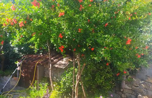 ANTICA BAITA - Foto 48