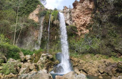 El Surtidor - Foto 20