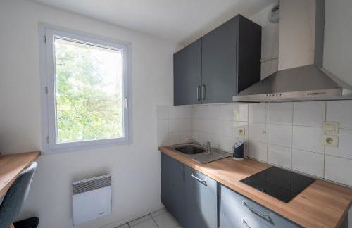 L'Airbusien - Terrasse et parking - Airbus à coté - Foto 4