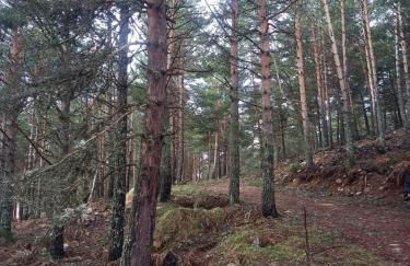 Montes de Lillo --Vut LE 625 - Foto 17