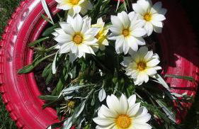 C'era Una Volta - Foto 42