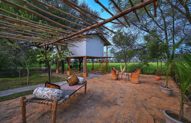 Bagh Serai - Foto 13