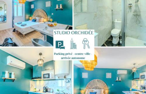 Orchidée Parking & Clim - Roanne centre-ville - Foto 1