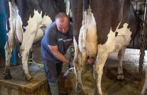 Shepherds Huts Tansy & Ethel in rural Sussex - Foto 27