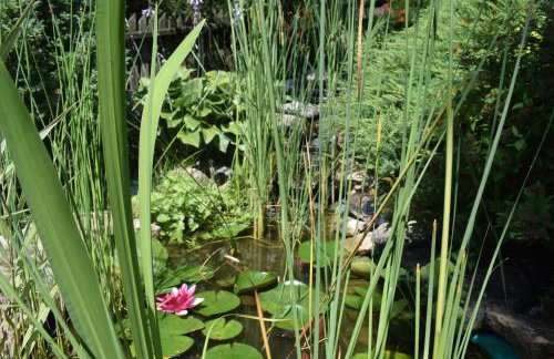 Willa Przekop - Foto 65