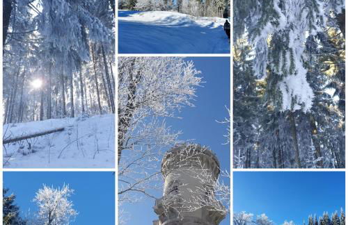 kleine Ferienwohnung Schortestraße - Foto 9