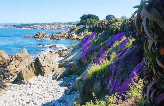 Mv6: 30 Night Minimum Lover's Point Mermaid Cottage - Foto 20