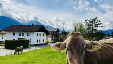 Ferienwohnung Allgäu-Traum - Foto 4