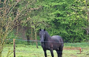 Passione Peonie Apartment - Foto 20