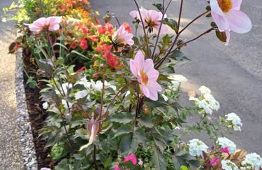 Appartement reposant à Vittel - Foto 8