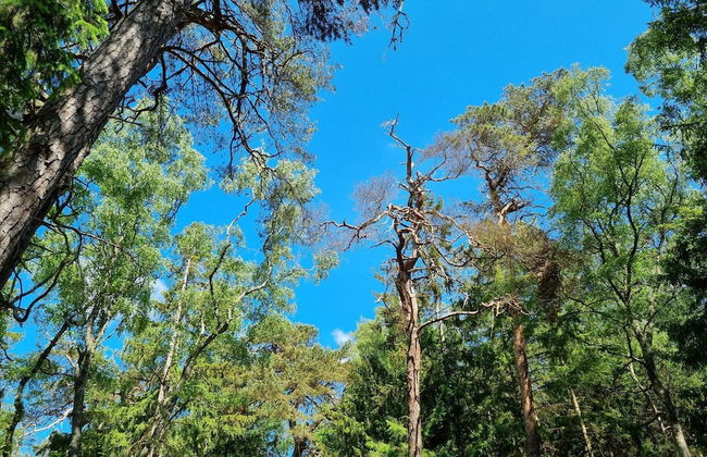 5 Person Holiday Home in Frederiksvaerk - Photo 10