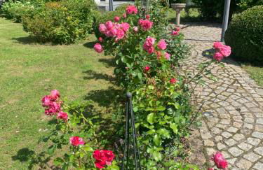 Bezaubernde Ferienwohnung mit Rosengarten - Foto 16