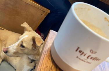 IreneHouse Victorian INN - Photo 32