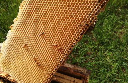 Agriturismo La Biandrina - Foto 63