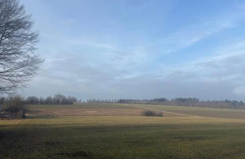 Nature&City - Studio - Photo 21