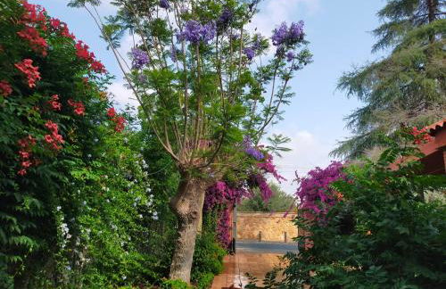 Precioso chalet próximo a Sevilla con jardín y piscina privada 8 personas Wifi gratis 2 salones 4 dormitorios 2 baños - Foto 53