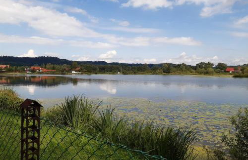 Domek letniskowy nad stawem Temeszów Bieszczady - Foto 9