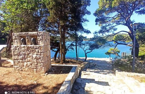 Mljet Sunset Apartments - Photo 42