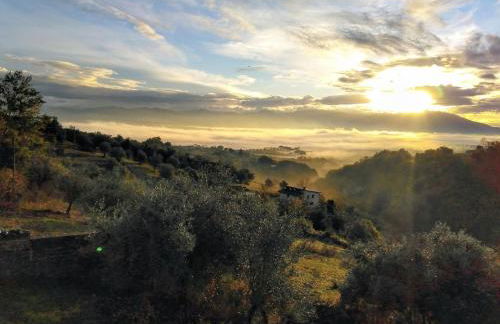 Accomodation in villa with pool & parking near Rome - Foto 7