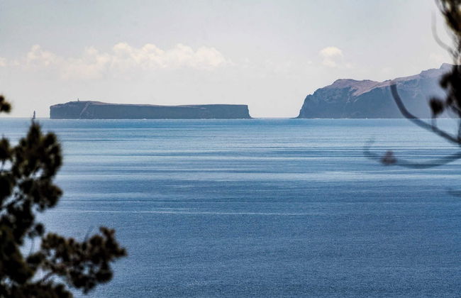 Holiday Duplex in Madeira - Matur I - Foto 32