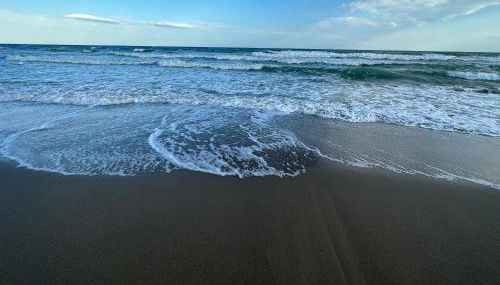 La Conchiglia - Foto 4