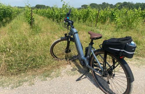 Gîte au coeur d'un domaine viticole - Foto 18