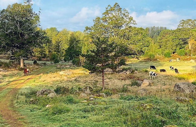 Holiday Home in Gedser - Foto 7