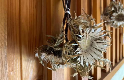 Appartement T2 Duplex sur piste pour 6 pers avec box à skis au Super-Sauze - FR-1-165A-132 - Foto 11