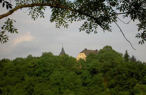 Ferienhaus Chalet Cottage Ourtalblick 2km von Vianden-Lux - Foto 19